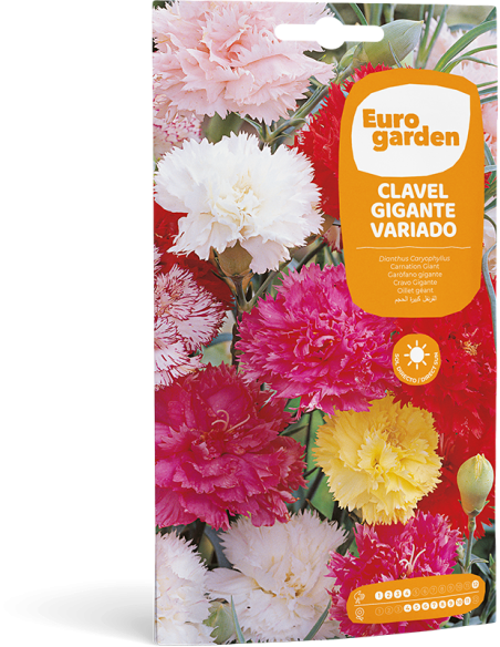 EUROGARDEN - Semilla Clavel Gigante Variado