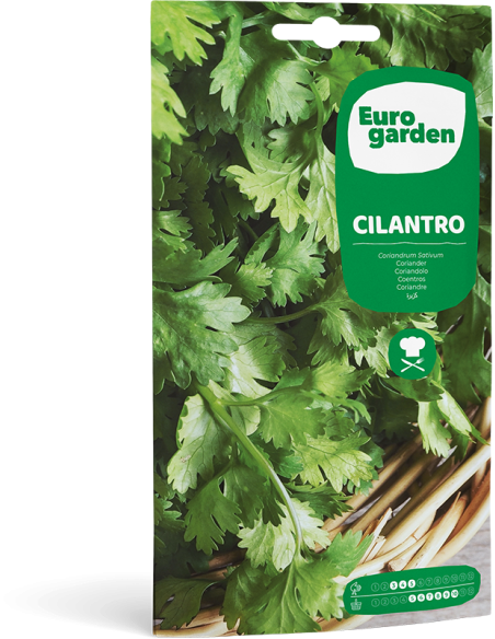EUROGARDEN - Semilla Cilantro