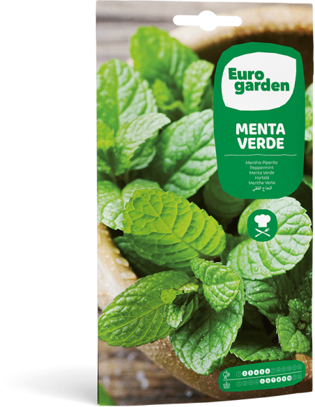 EUROGARDEN - Semilla Menta Verde