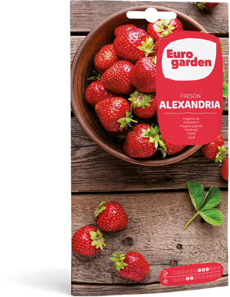 EUROGARDEN - Fresón Alexandra
