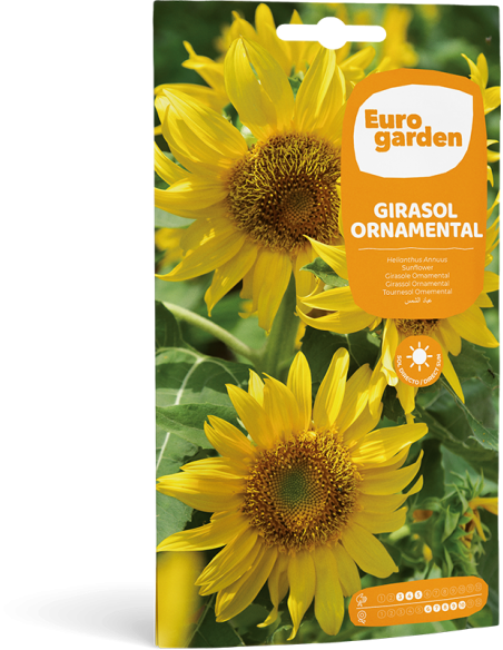 EUROGARDEN - GIRASOL ORNAMENTAL