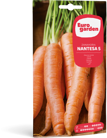 EUROGARDEN - Semillas Zanahoria Nantesa 5