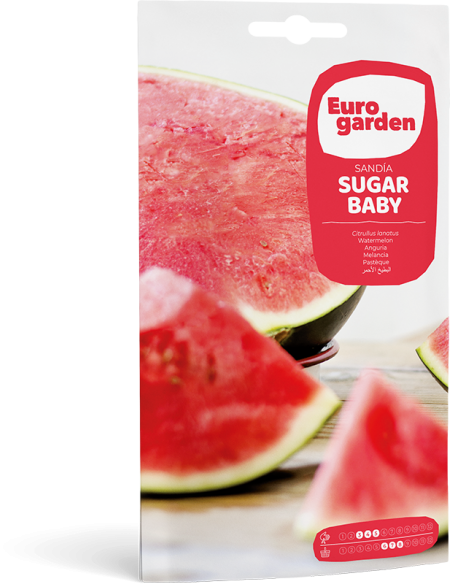 EUROGARDEN - Semillas de Sandía Sugar Baby