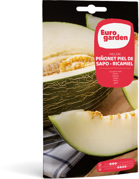 EUROGARDEN - Semillas de Melón Piñonet piel de sapo-Ricamiel