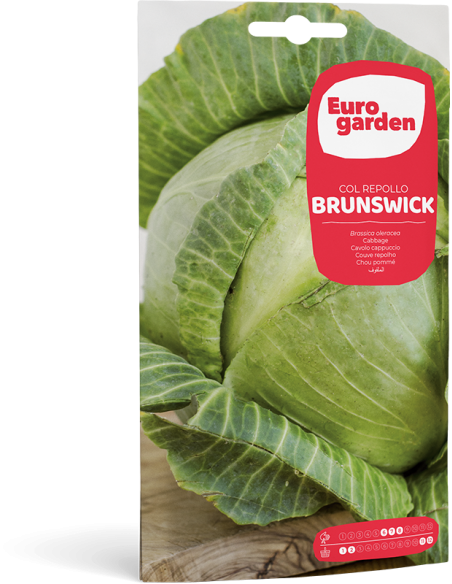 EUROGARDEN - Semilla Col Repollo Brunswick