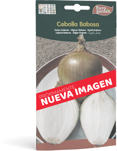 EUROGARDEN - Semilla Cebolla Babosa
