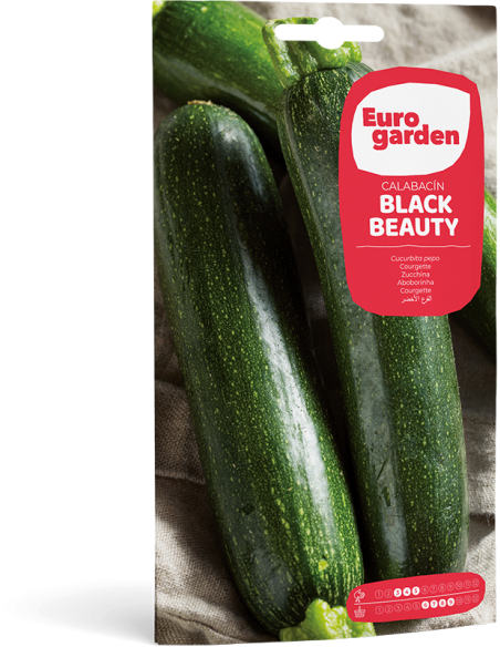 EUROGARDEN - Semilla Calabacín Negro Belleza