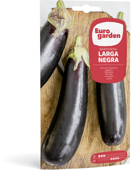 EUROGARDEN - Semilla Berenjena Larga Negra