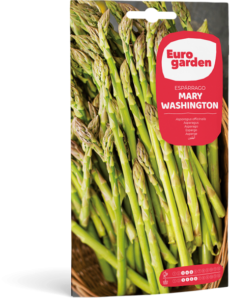EUROGARDEN - Semilla de Esparrago Mary Washington