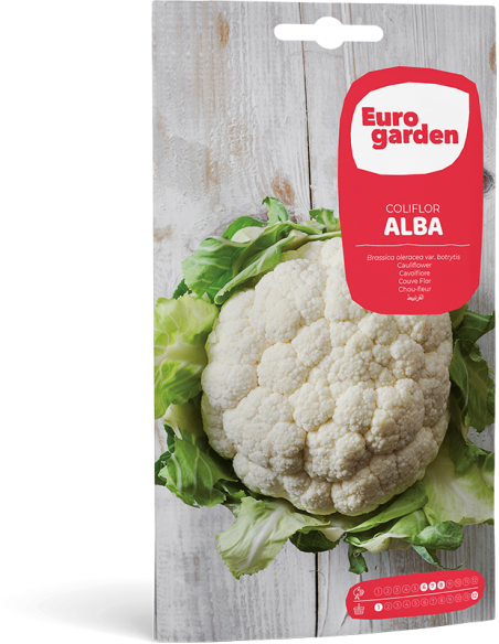 EUROGARDEN - Semilla de Coliflor Alba