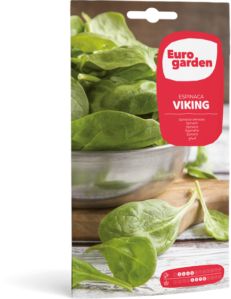 EUROGARDEN - Semilla de Espinaca Viking