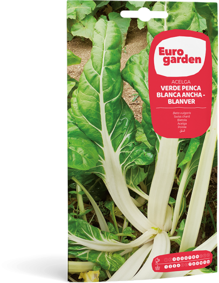 EUROGARDEN - Semilla Acelga Verde Penca Blanca Ancha-Blanver