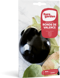 EUROGARDEN - Semilla Berenjena Ronde De Valence