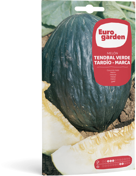 EUROGARDEN - Semillas Melón Verde Tardío - Marca
