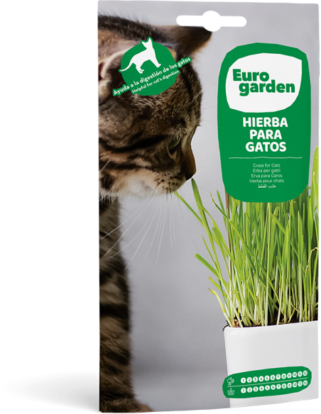 EUROGARDEN - Semillas Aromáticas Hierba para Gatos