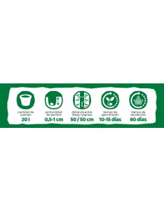 EUROGARDEN - Aromáticas Eneldo 2