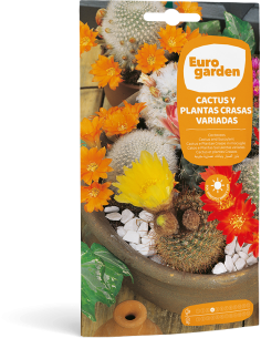 Semillas Flores Cactus Y Plantas Crasas Variadas