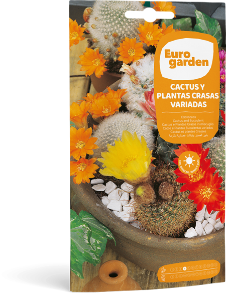 Semillas Flores Cactus Y Plantas Crasas Variadas