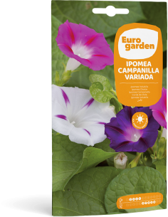 EUROGARDEN - Semillas Flores Ipomea Campanilla Variada