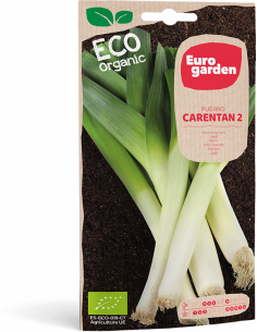 EUROGARDEN - Semilla Eco Puerro Carentan 2